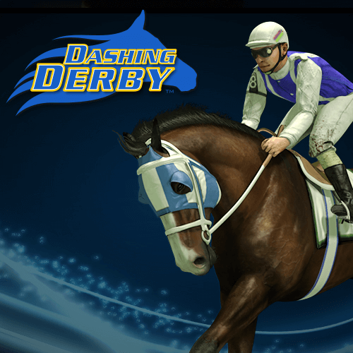 Dashing derby Dashing derby